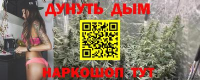 крисы Нальчик