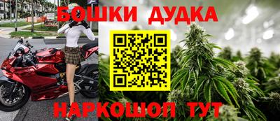 крисы Нальчик