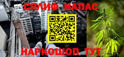 крисы Нальчик