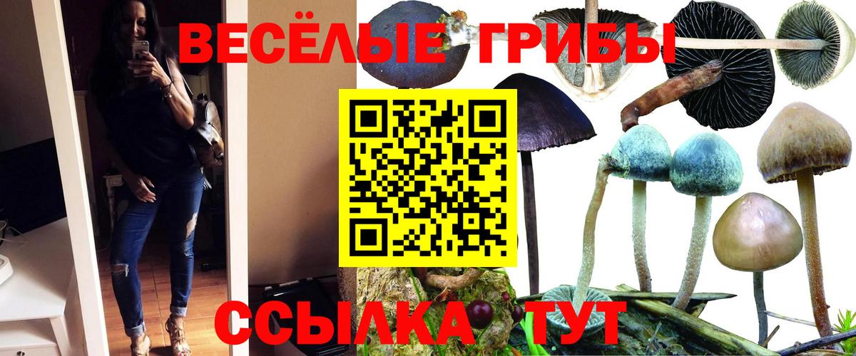 Армавир  купить наркоту  Вход с VPN  Псилоцибиновые грибы Magic Shrooms 